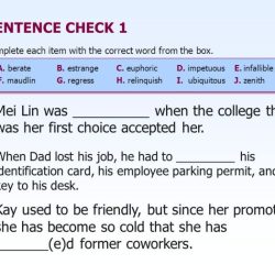 Chapter 4 sentence check 1