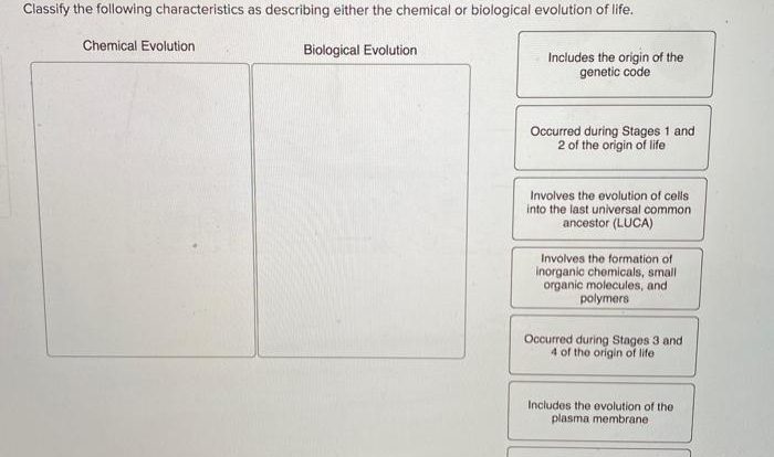 Classify the following characteristics as describing either rna or dna