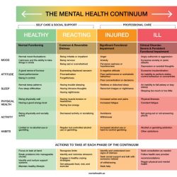 What is the target zone in the coping continuum