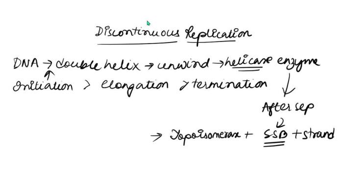 As dna is replicated both continuous and discontinuous