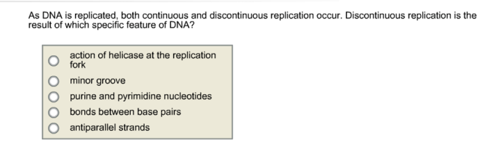 As dna is replicated both continuous and discontinuous